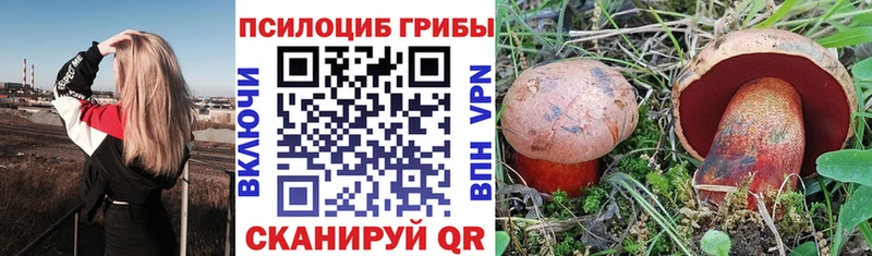 наркошоп  Кунгур  Галлюциногенные грибы Psilocybine cubensis 