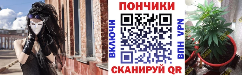 Конопля план  купить наркотики сайты  Кунгур 